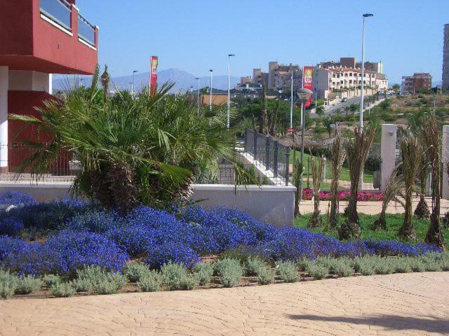 Arenales Playa By Mar Holidays Arenales del Sol Buitenkant foto